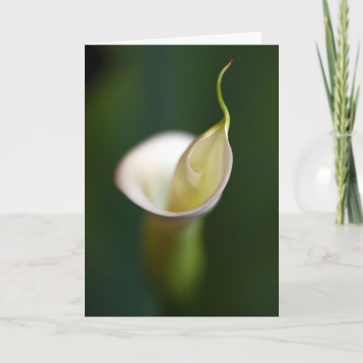 Eine Dame im Weiß Karte (Vorderseite)