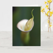 Eine Dame im Weiß Karte (Gelbe Blume)