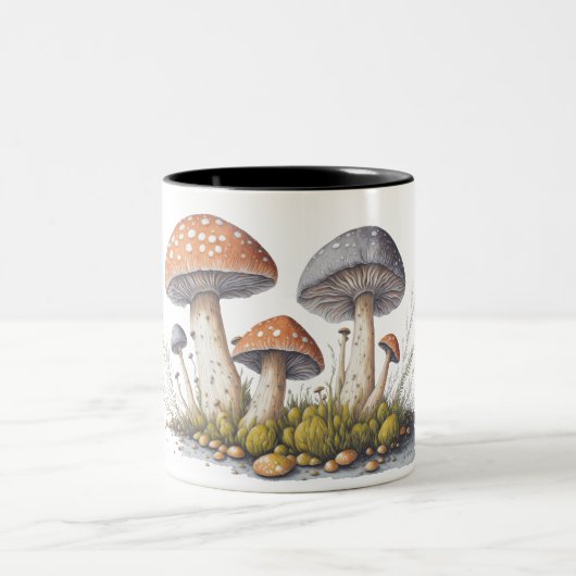 Eine detaillierte Darstellung der Pilze Zweifarbige Tasse (Mittel)