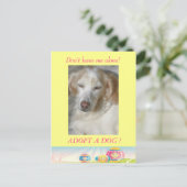 Eine Dog-Osterpostkarte adoptiert Feiertagspostkarte (Stehend Vorderseite)
