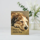 Eine Dog-Postkarte adoptiert Postkarte (Stehend Vorderseite)
