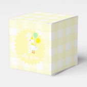 Eine dumme Gans Gingham 1. Geburtstag Geschenkschachtel (Vorderseite)