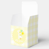 Eine dumme Gans Gingham 1. Geburtstag Geschenkschachtel (Geöffnet)