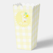 Eine dumme Gans Gingham 1. Geburtstag Geschenkschachtel (Vorderseite)