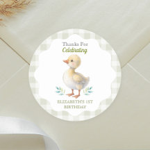 Eine dumme Gans grün kariert Baby erster Geburtsta