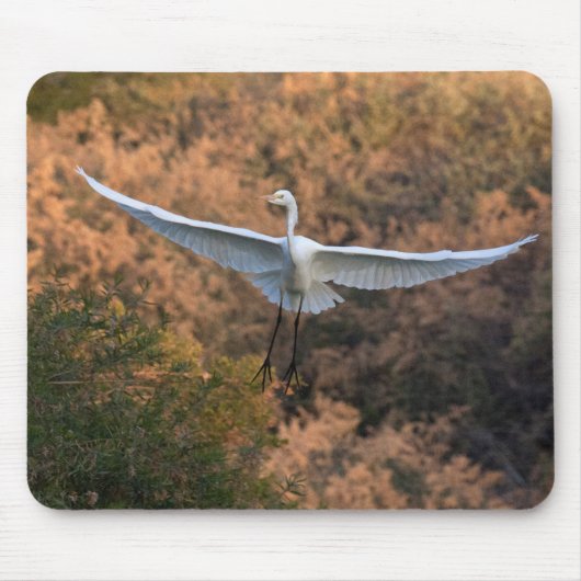 Eine Egret Fliegen Mousepad (Vorne)