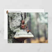 Eine Eichelfe trinkt Kaffee Postkarte (Vorne/Hinten)