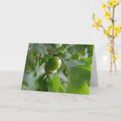 eine Eichenfrucht Karte (Gelbe Blume)