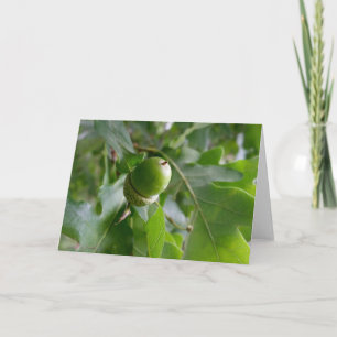 eine Eichenfrucht Karte