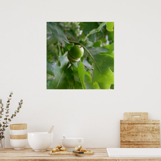 eine Eichenfrucht Poster (Küche)
