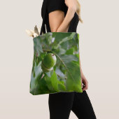 eine Eichenfrucht Tasche (Von Nahem)