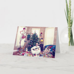 Eine ein Eye'd Katzen-Weihnachtsgeschichte Feiertagskarte
