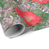 Eine einfache, lachsfarbene offene Rose Geschenkpapier (Rolleneckpunkt)