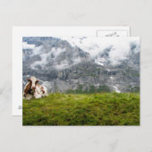 Eine einsame Kuh in den Schweizer Alpen - Postkart Postkarte (Vorne/Hinten)