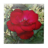 Eine einsame Rose Fliese (Vorderseite)