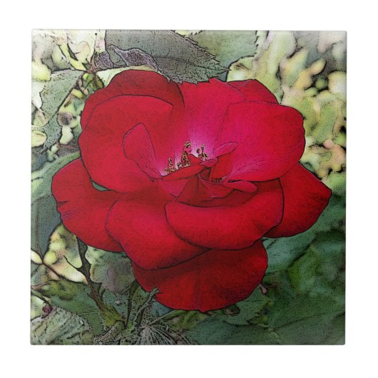 Eine einsame Rose Fliese (Vorderseite)