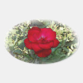 Eine einsame Rose Ovaler Aufkleber (Vorderseite)