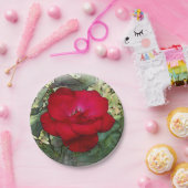 Eine einsame Rose Pappteller (Party)