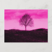 Eine einsame Silhouette heiß rosa Landschaft Postkarte (Vorderseite)