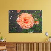 Eine einzelne orangefarbene Blume Leinwanddruck (Insitu (Wohnzimmer))