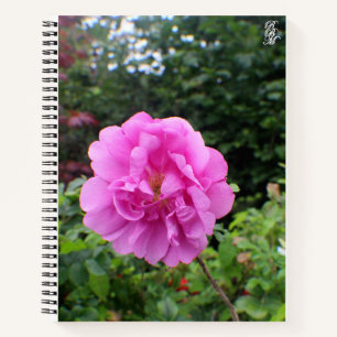 Eine einzelne rosa Blume Notizblock