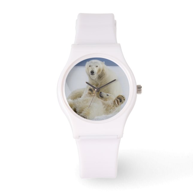 Eine Eisbärin und ihr Junge spielen im Schnee Armbanduhr (Vorderseite)