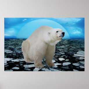Eine Eisbärzeit Poster