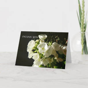 Eine elegante Dankeschön-Garten-Phlox-Karte Dankeskarte