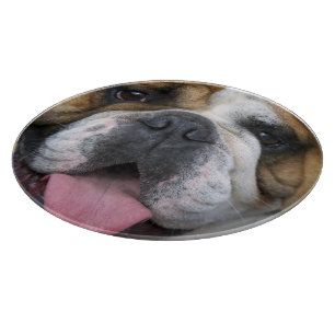 Eine englische Bulldogge in Belgien. Schneidebrett