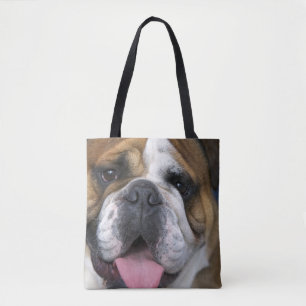 Eine Englische Bulldogge in Belgien Tasche