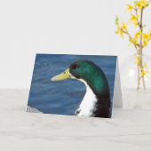 Eine Ente im Park Karte (Gelbe Blume)