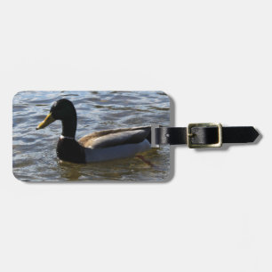 Eine Ente im Wasser Gepäckanhänger