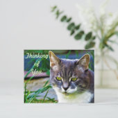 Eine erdenkliche Katze. Postkarte (Stehend Vorderseite)