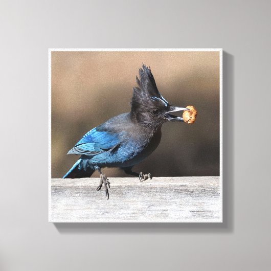 Eine Erdnuss gefunden Leinwanddruck (Vorderseite)