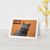 EINE ERNSTE KATZE SAGT "GLÜCKLICH 60. GEBURTSTAG" KARTE (Gelbe Blume)