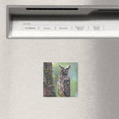 Eine Eule aus langem Ohr, die auf einem Zweig eine Magnet (In Situ (Geschirrspüler))