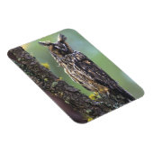 Eine Eule aus langem Ohr, die auf einem Zweig eine Magnet (Rechte Seite)