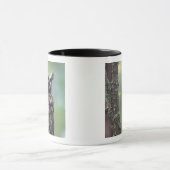 Eine Eule aus langem Ohr, die auf einem Zweig eine Tasse (Zentrum)