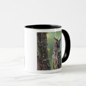 Eine Eule aus langem Ohr, die auf einem Zweig eine Tasse (VorderseiteRechts)