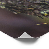 Eine Eule mit langem Ohr, die auf einem Baumzweig Poster (Ecke)