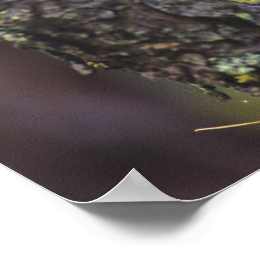 Eine Eule mit langem Ohr, die auf einem Baumzweig Poster (Ecke)