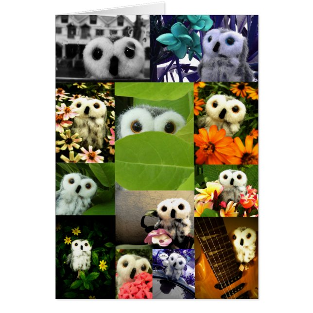 Eine Eule namens Ophelie (Vorne)