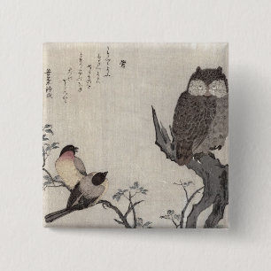 Eine Eule und zwei OstBullfinches Button