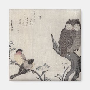Eine Eule und zwei OstBullfinches Magnet