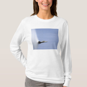 Eine F/A-18E Superhornisse erreicht die T-Shirt