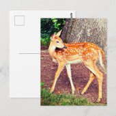 Eine Fahne Postkarte (Vorne/Hinten)