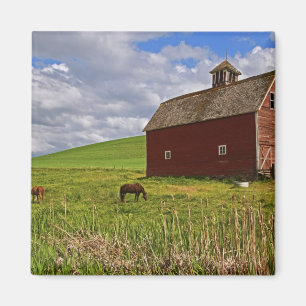 Eine Fahrt durch das Agrarland von Palouse 3 Magnet