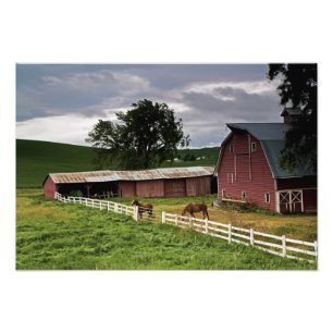 Eine Fahrt durch das Bauernhofland von Palouse 4 Fotodruck