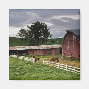 Eine Fahrt durch das Bauernhofland von Palouse 4 Magnet