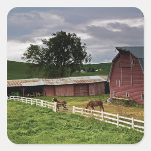 Eine Fahrt durch das Bauernhofland von Palouse 4 Quadratischer Aufkleber